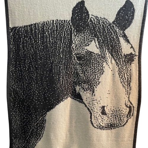Paint Mare