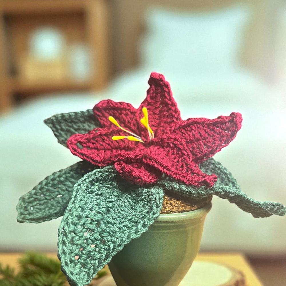 Haakpatroon plant 'kerstster'