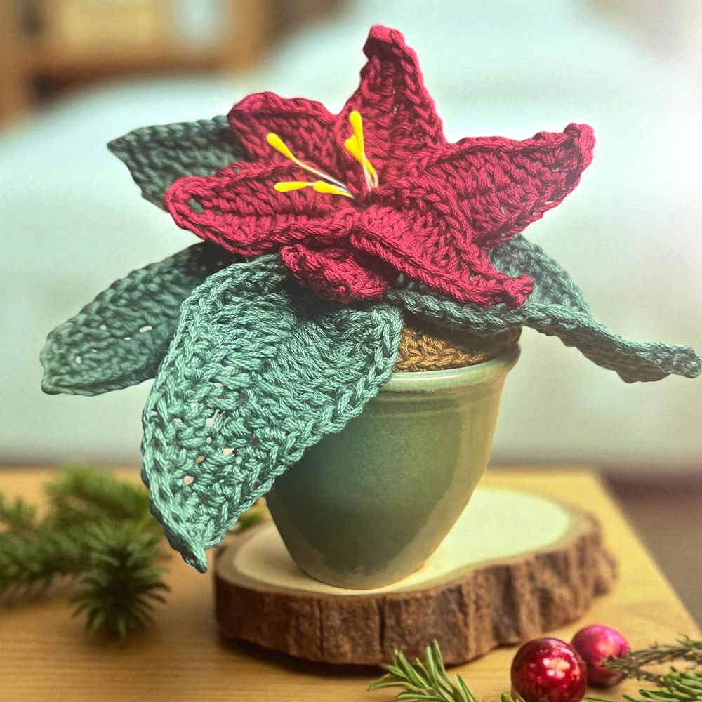 Haakpatroon plant 'kerstster'