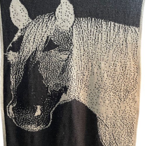 Paint Mare