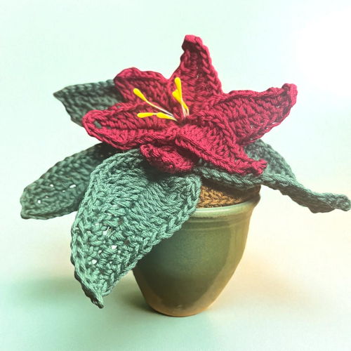 Haakpatroon plant 'kerstster'