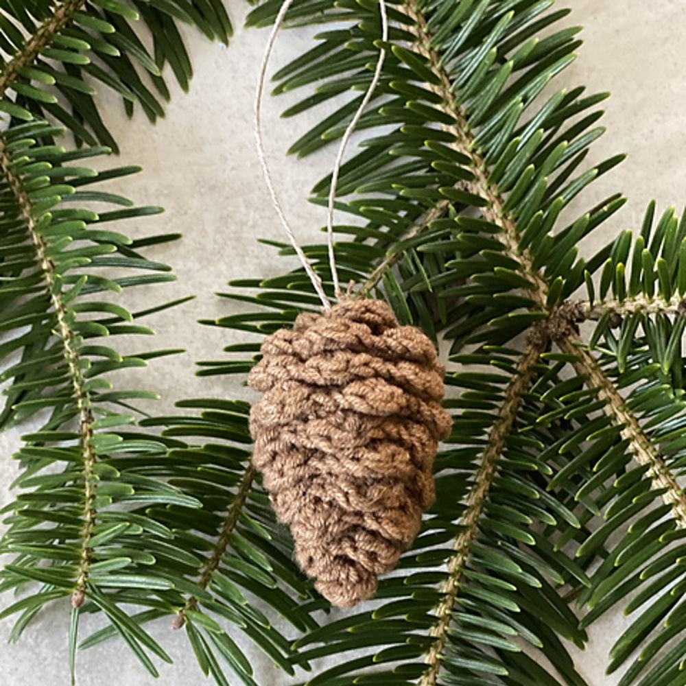 ...just a common PINE CONE