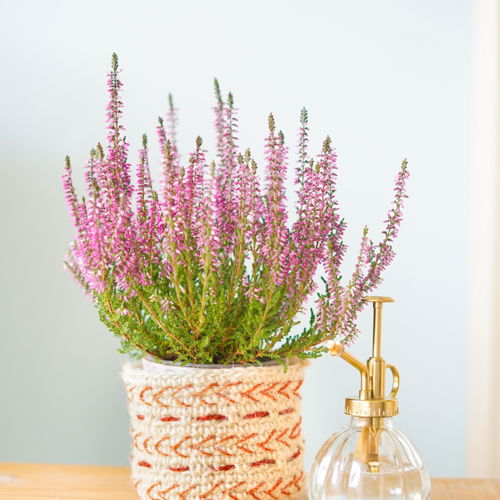 Boho Jute Plantenmand