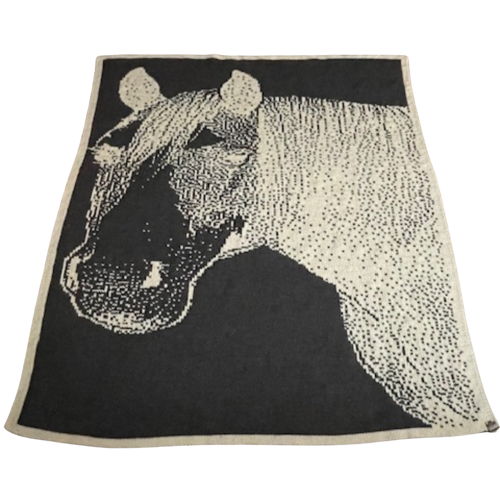 Paint Mare